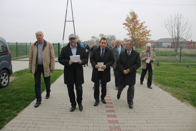 Zobaczyli to na własne oczy - zdjęcia