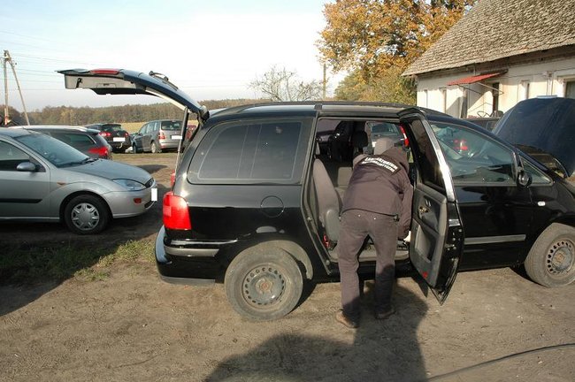 Policjanci rozbili gang - zdjęcia/film