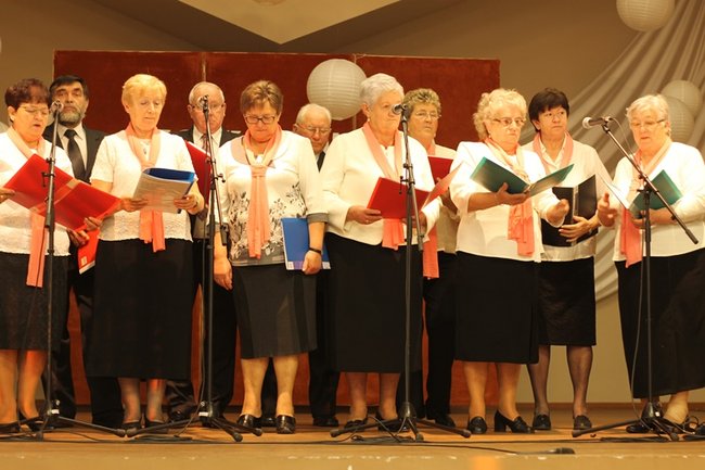 W patriotycznym nastroju - zdjęcia