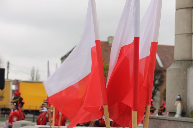 Nie sercem i szablą, ale piórem i rozumem...