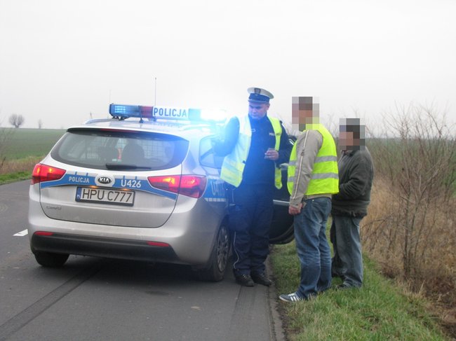 Wtargnęła prosto pod koła - zdjęcia