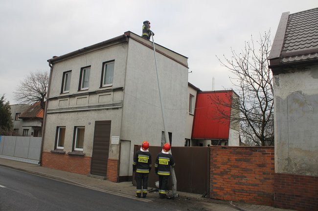 BMW prosto w słup - zdjęcia