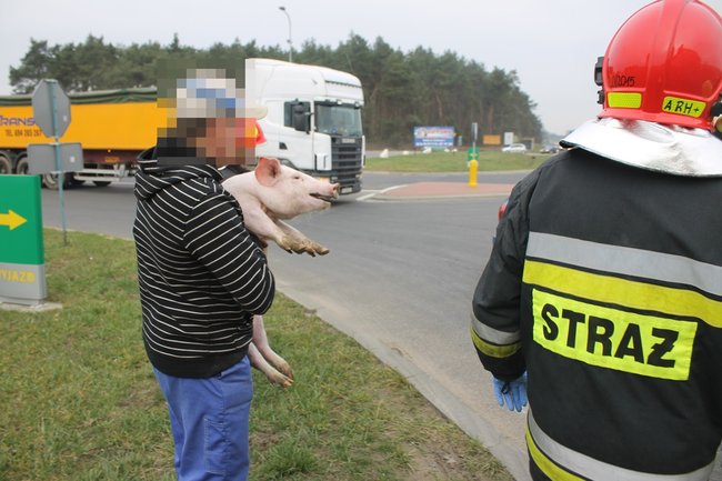 Kolizja i pościg za 