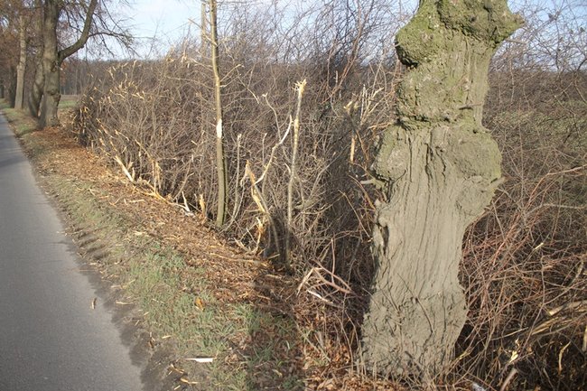 Pieniądze wyrzucone w błoto? - zdjęcia