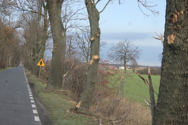 Pieniądze wyrzucone w błoto? - zdjęcia