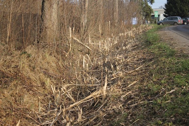 Pieniądze wyrzucone w błoto? - zdjęcia