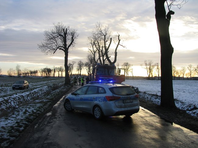 Kombi roztrzaskane na drzewie - zdjęcia
