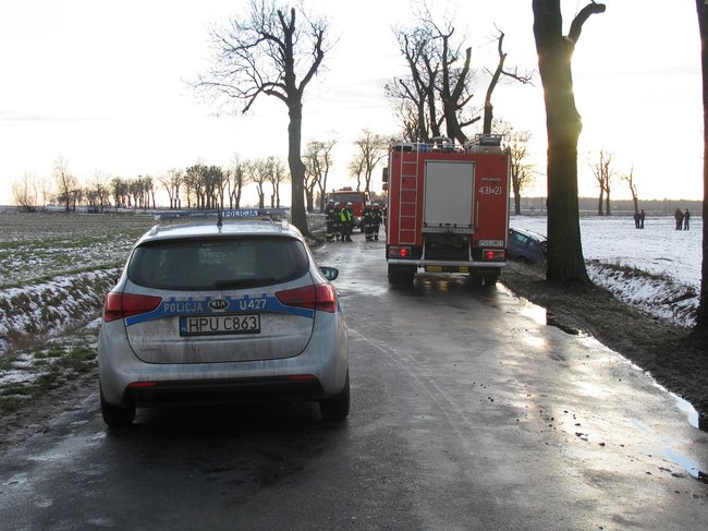 Kombi roztrzaskane na drzewie - zdjęcia