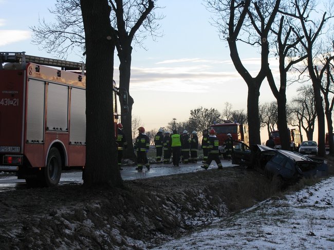 Kombi roztrzaskane na drzewie - zdjęcia