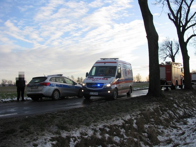 Kombi roztrzaskane na drzewie - zdjęcia