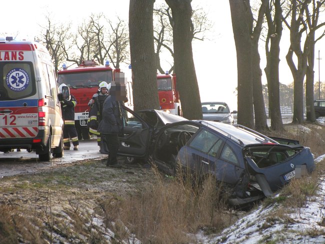 Kombi roztrzaskane na drzewie - zdjęcia