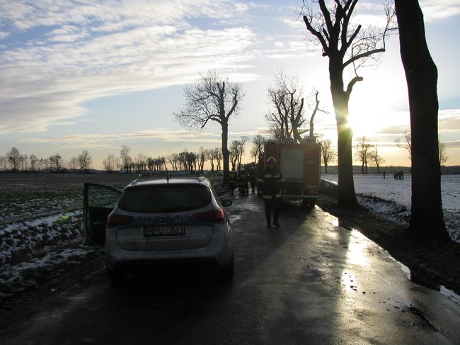 Kombi roztrzaskane na drzewie - zdjęcia