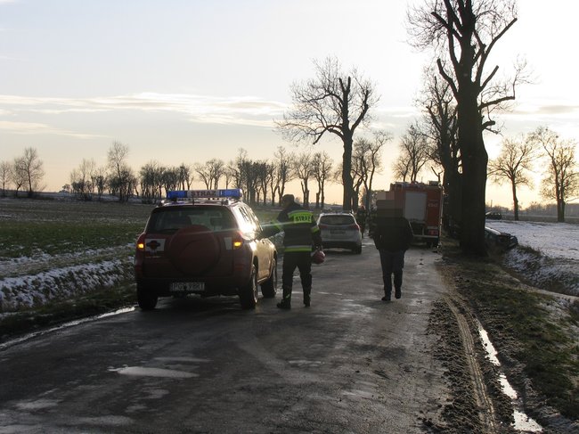 Kombi roztrzaskane na drzewie - zdjęcia