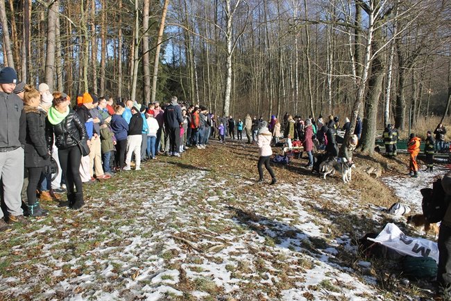 Zbierali datki w lodowatej wodzie - zdjęcia