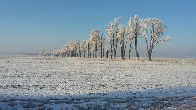 Jak w bajce!