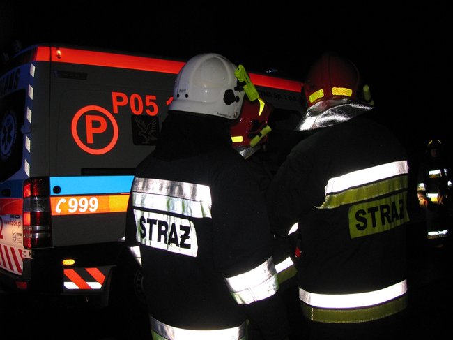Najpierw w drzewo, potem w opla - zdjęcia