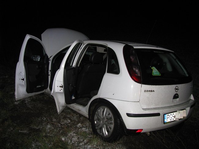 Najpierw w drzewo, potem w opla - zdjęcia