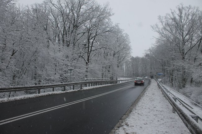 Ciężarówka z mięsem w rowie - zdjęcia