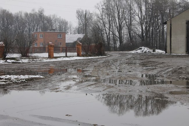 Wystarczyłby mu zwykły chodnik - zdjęcia
