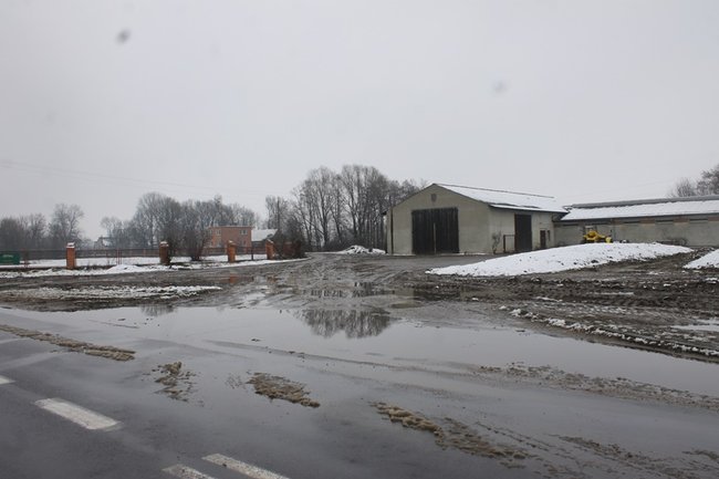 Wystarczyłby mu zwykły chodnik - zdjęcia