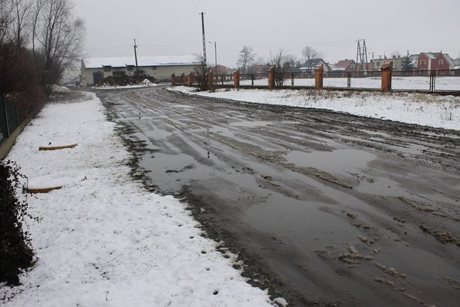 Wystarczyłby mu zwykły chodnik - zdjęcia