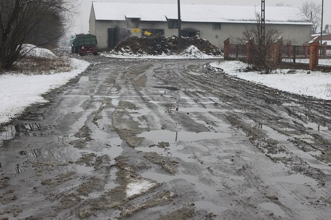 Wystarczyłby mu zwykły chodnik - zdjęcia