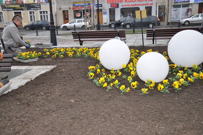 Gostyń rozkwita