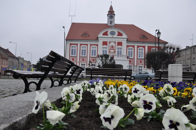 Gostyń rozkwita
