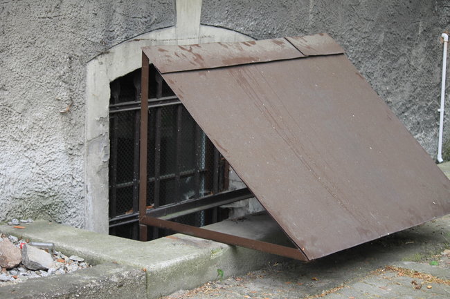 Strażacy uratowali... kota
