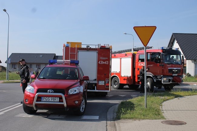 Mądry Polak po szkodzie...