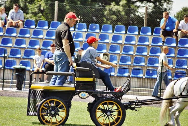 Konie wróciły do Pępowa