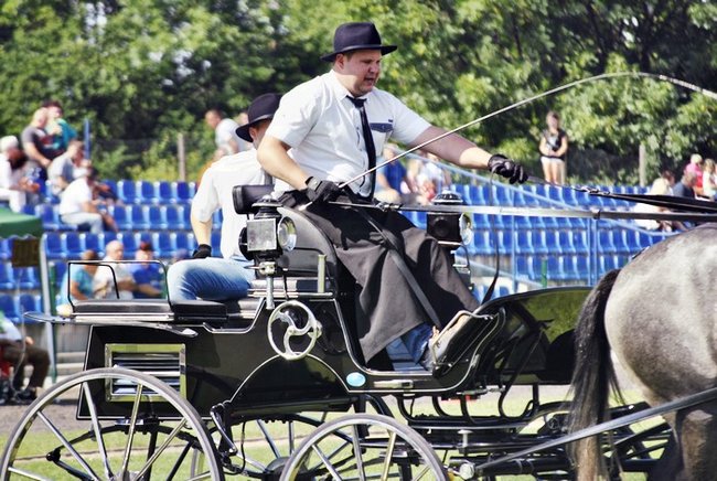 Konie wróciły do Pępowa