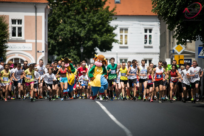 Rekordowy Mleczny Bieg