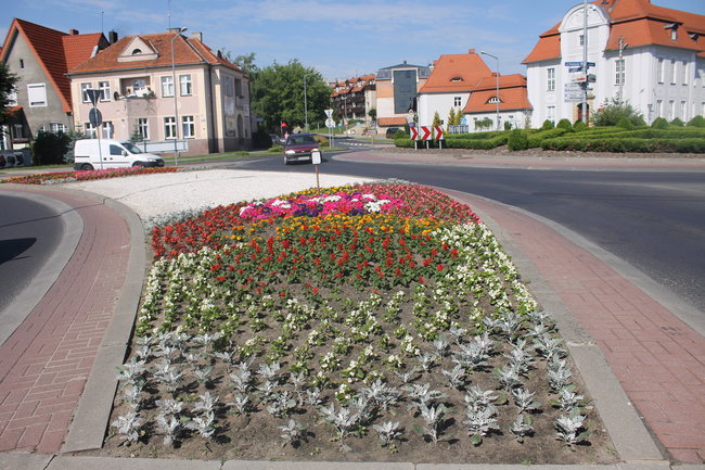 Nasadzono 12 tys. kwiatów