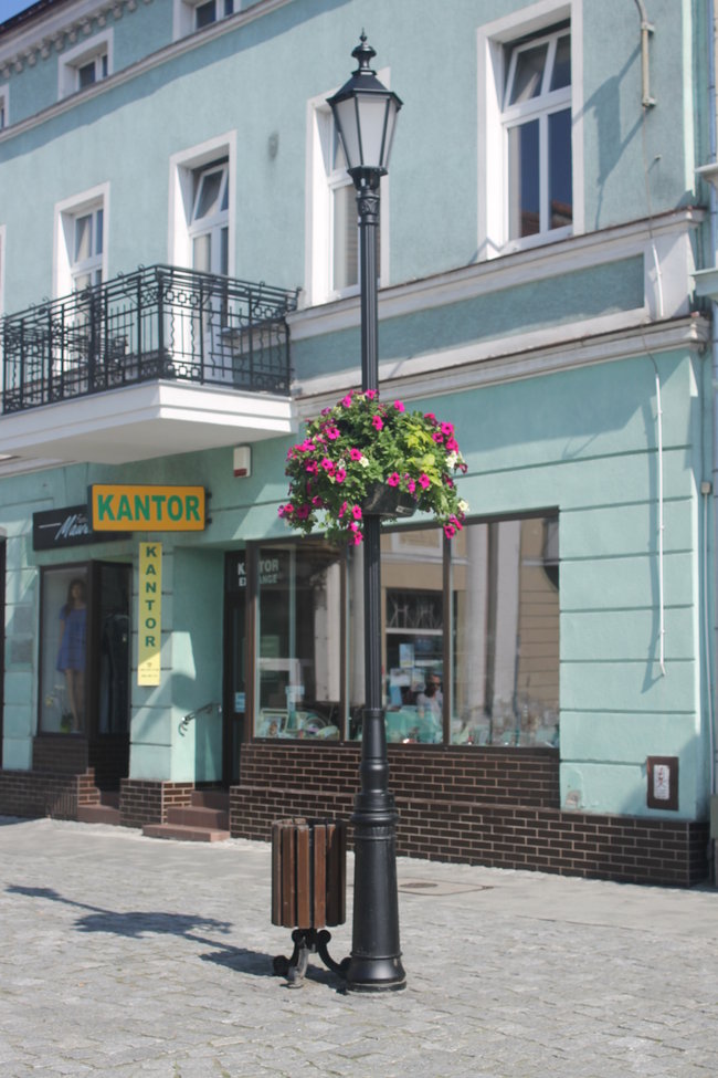 Nasadzono 12 tys. kwiatów
