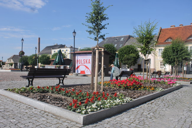 Nasadzono 12 tys. kwiatów