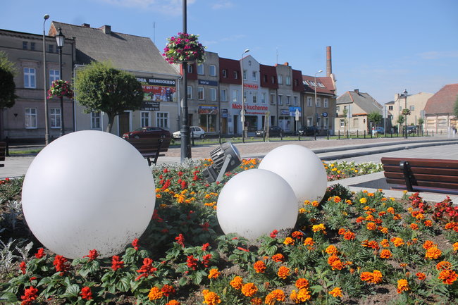 Nasadzono 12 tys. kwiatów