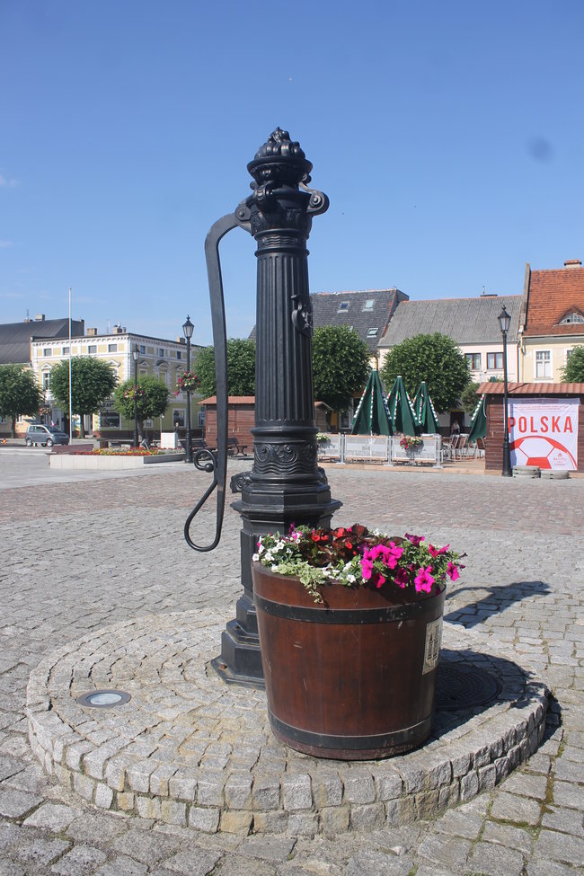 Nasadzono 12 tys. kwiatów