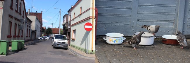 Pod nosem gminnych urzędników