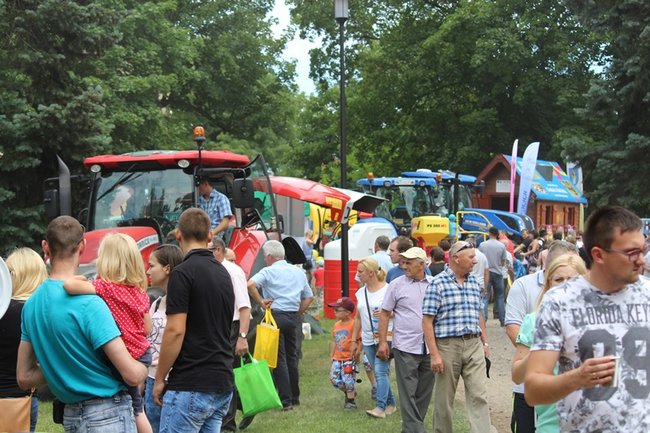 Wystawa na najwyższym poziomie
