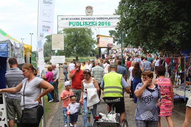 Wystawa na najwyższym poziomie