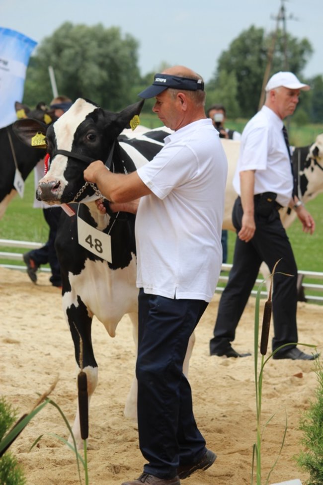 Wystawa na najwyższym poziomie