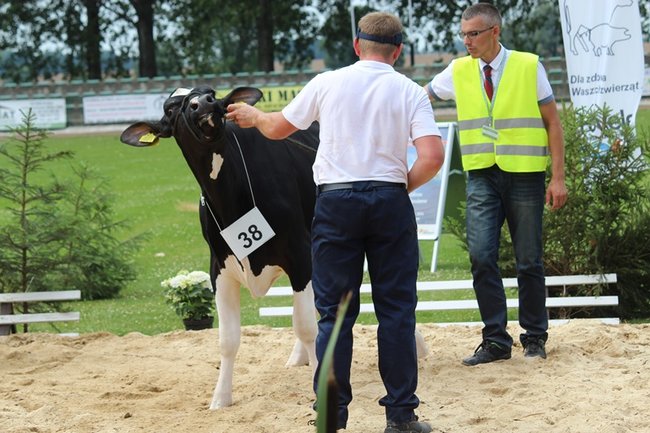 Wystawa na najwyższym poziomie
