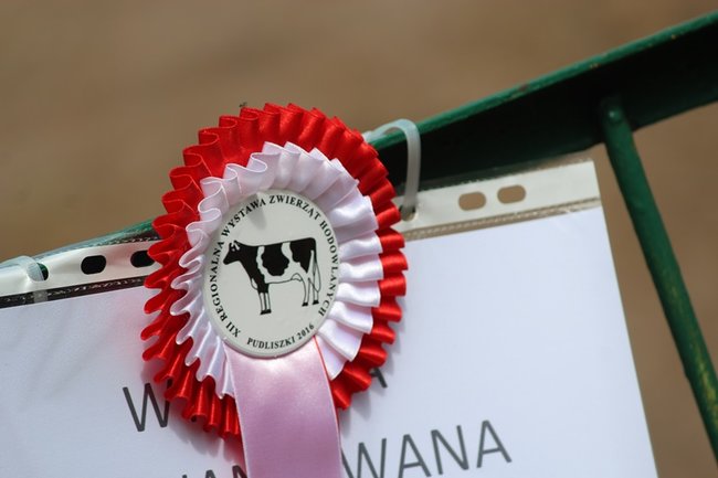 Wystawa na najwyższym poziomie