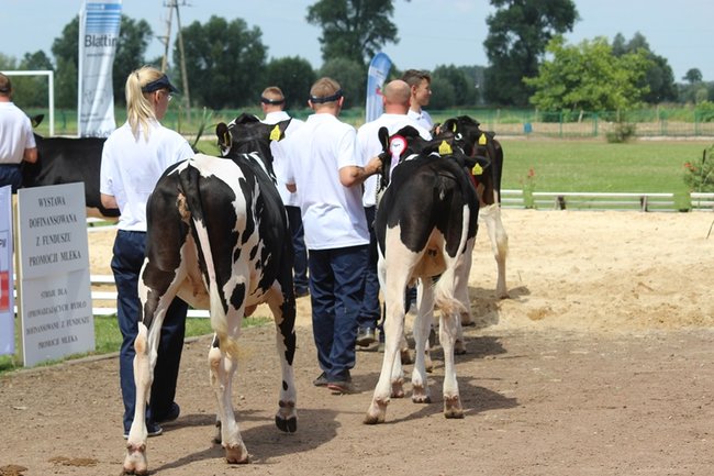 Wystawa na najwyższym poziomie