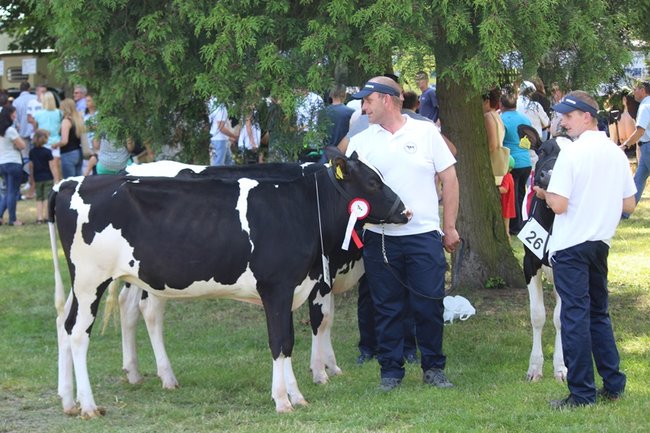 Wystawa na najwyższym poziomie
