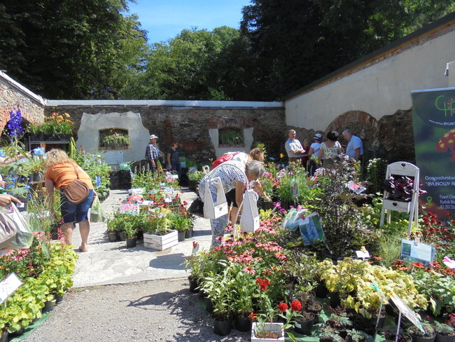 Tym razem zwiedzili Arboretum