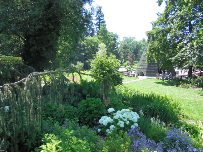 Tym razem zwiedzili Arboretum