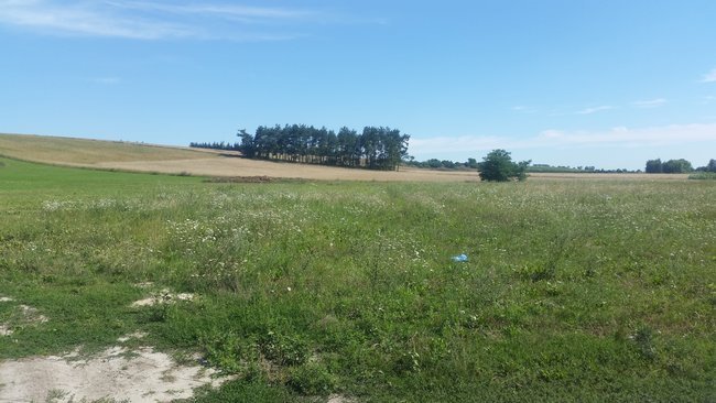 Czy tym razem znajdą się chętni?