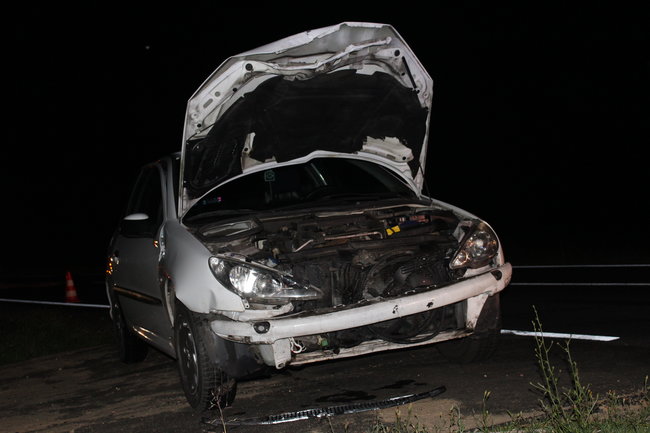 Peugeotem w dzika...